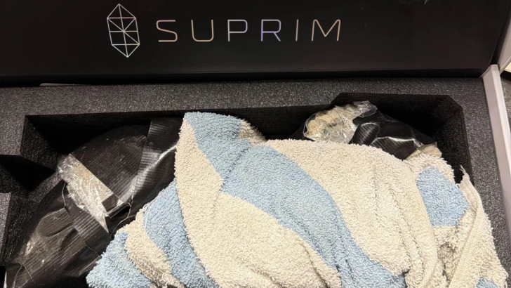 RTX 5090 Scam Exposes the Dark Side of High-End GPU Shopping—Rocks for $3,000