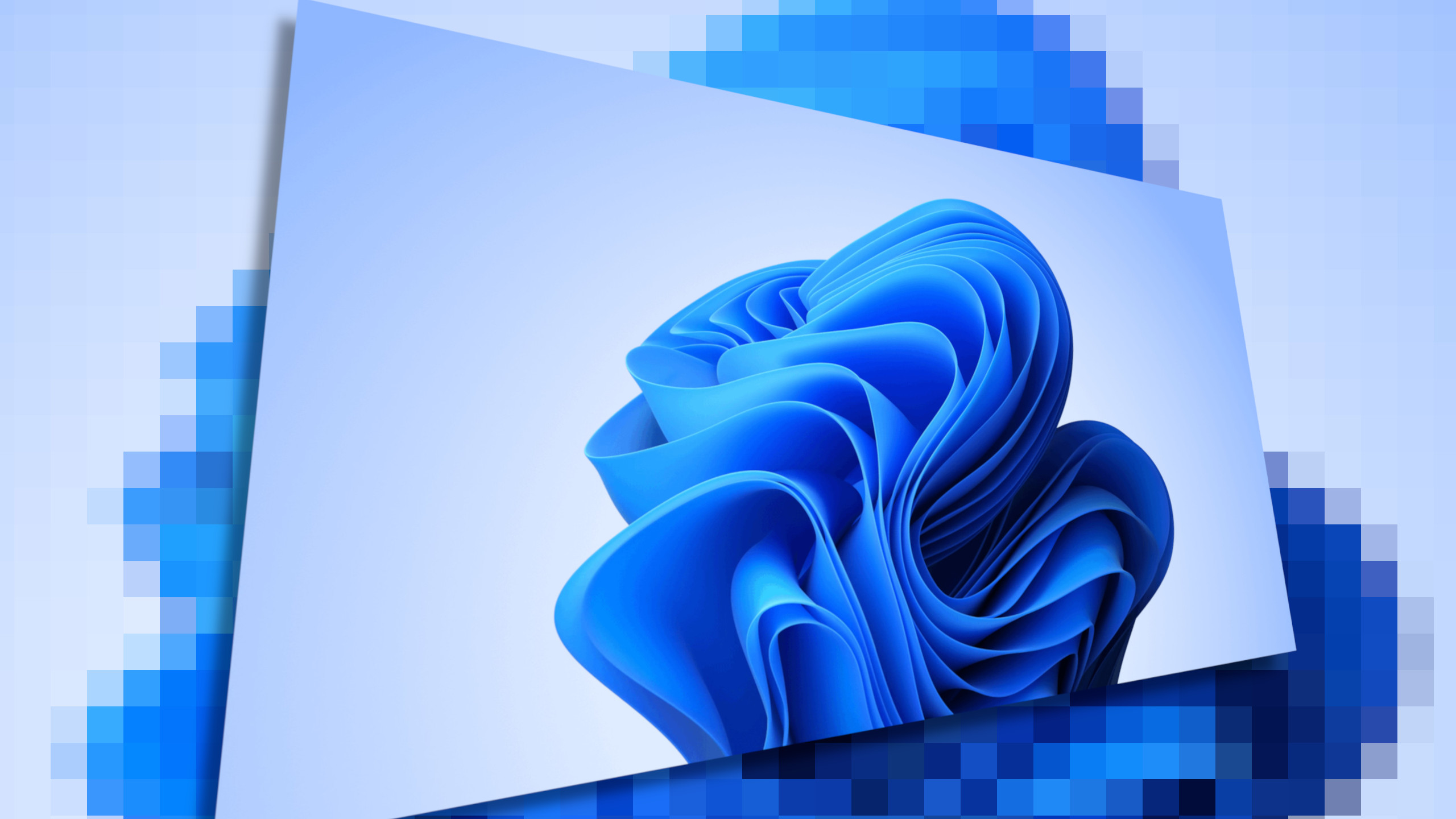 Windows 11 to Adopt WebP for Backgrounds, Boosting Efficiency and Quality