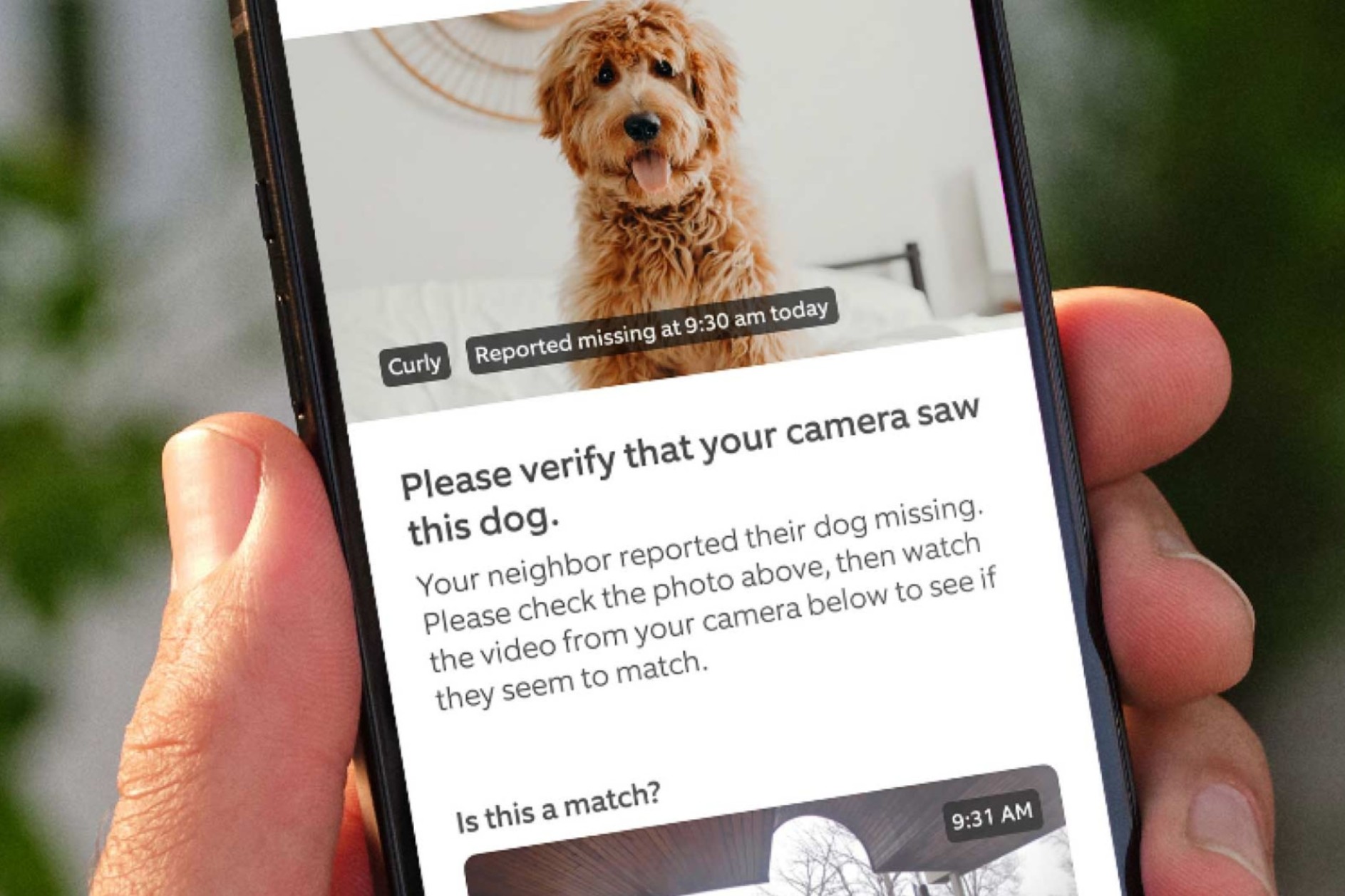 Ring’s AI pet finder now open to all—no camera required