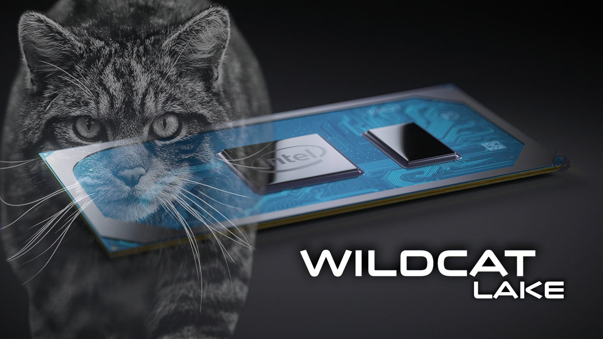 Intel's Wildcat Lake: A Strategic Shift for Ultra-Power-Efficient Devices