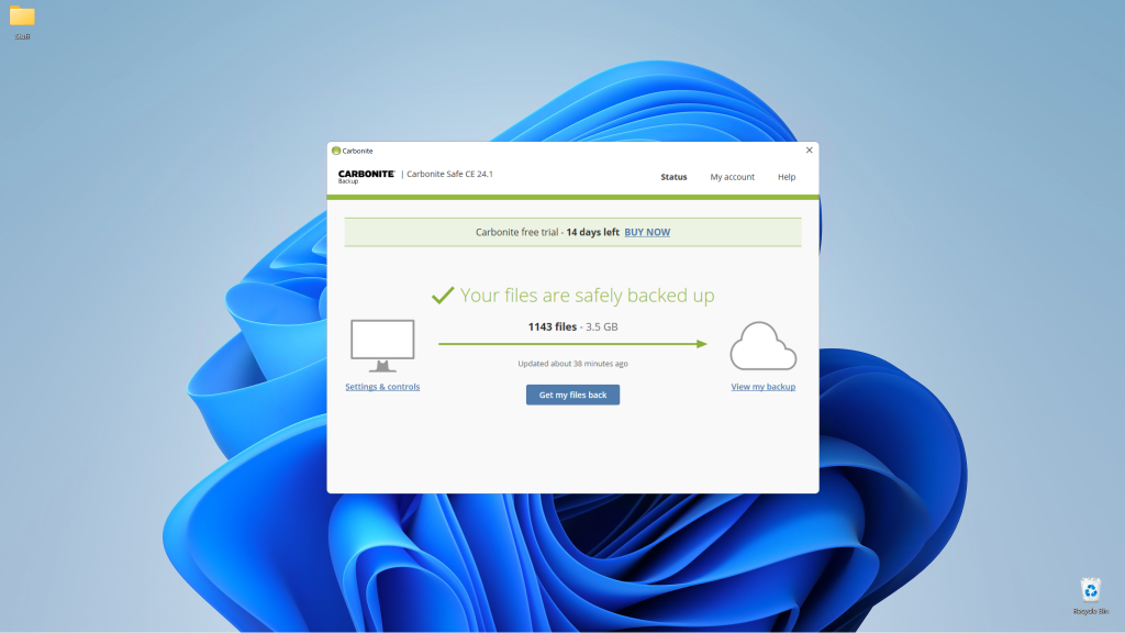Carbonite Backup: Simple Storage with Performance Considerations