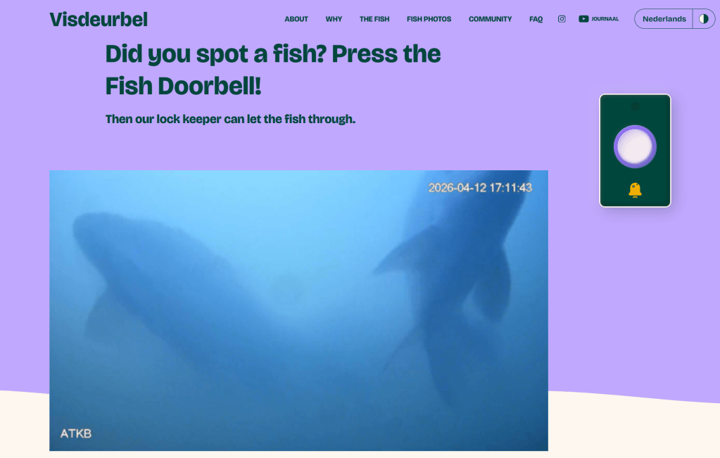 The Fish Doorbell: A Quirky Innovation or a Passing Fad?